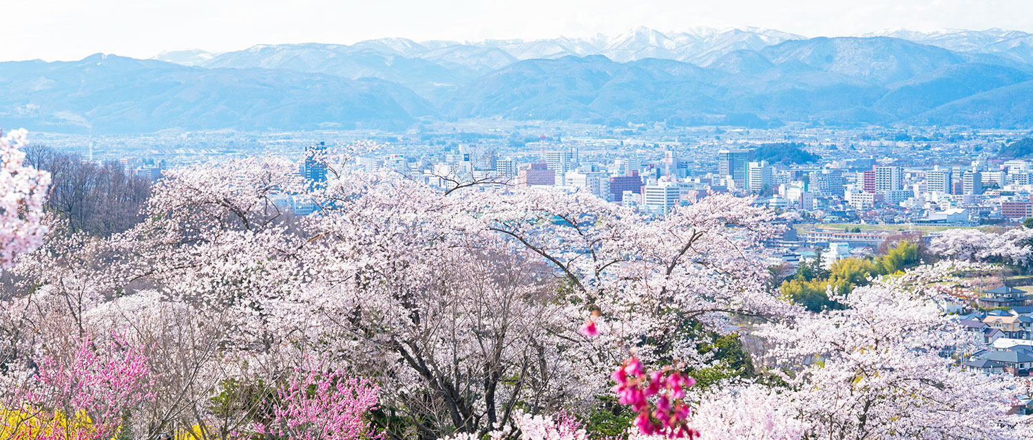 福島市花見山