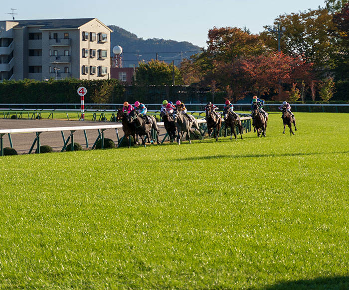 福島競馬場